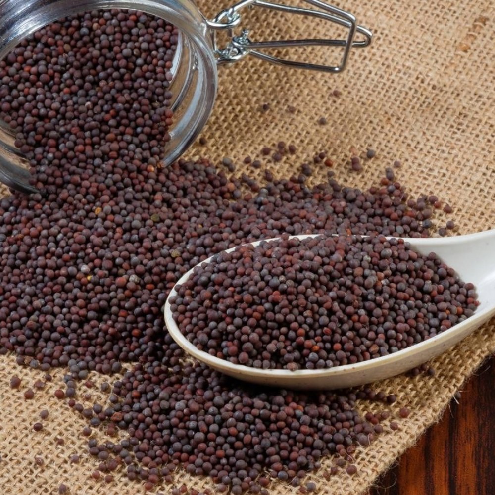 Mustard Seeds - Vistara Vertex Global
